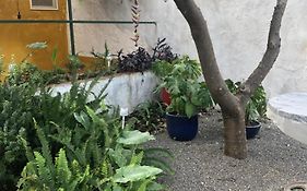 Casa Rustica Com Jardim Privado